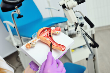 a model of a woman's uterus in the hands of a doctor in rubber gloves on the background of a gynecological chair. Pregnancy, women's diseases, cancer