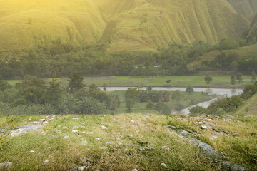 Meadow field with river