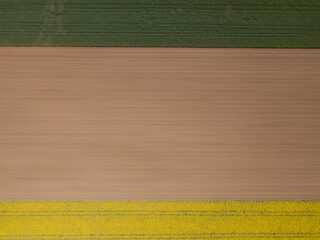 Abstract Geometric Shapes Of Agricultural Parcels Of Different Crops In Yellow