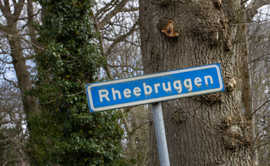 Oak trees and road sign Rheebruggen Uffelte Drenthe Netherlands.