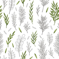 Pencil sketch and watercolor leaves and branches seamless pattern. Green watercolor eucalyptus, ferns and branches. Botanical illustration, isolated on white background. 
