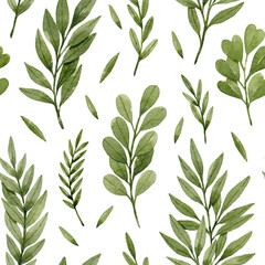 Watercolor leaves and branches seamless pattern. Green watercolor eucalyptus, ferns and branches. Botanical illustration, isolated on white background. 