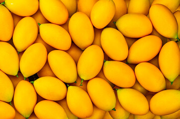 Yellow collection. Top view pile of the most popular ripe fruit in summer season in Thailand, marian plum, Bouea macrophylla, plum mango, gandaria.