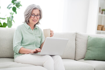 Photo of cheerful glad aged woman sit on couch hand hold coffee mug look use laptop weekend home...