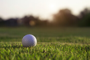 golf ball is on a green lawn in a beautiful golf course