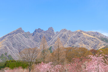 根子岳と桜　熊本県阿蘇郡高森町　Mt.Nekodake and Cherry Blossoms Kumamo-ken Aso-gun Takamori town