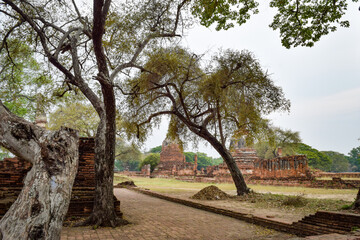 タイ･アユタヤの遺産都市探訪
