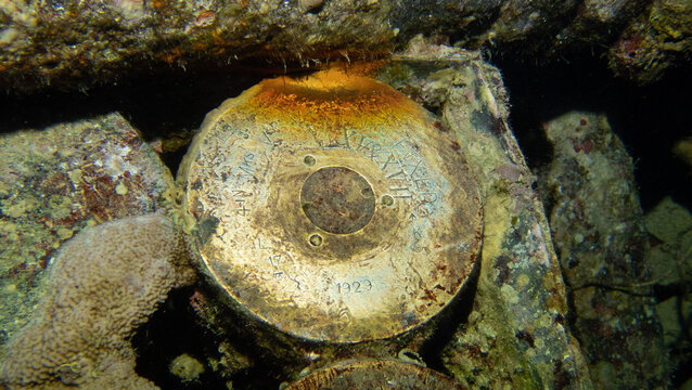 Underwater photography of a liveaboard diving trip in the Red Sea (Egypt)