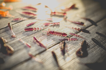 Naklejka premium Nice view of fishing silicone baits on a wooden background. Studio photo.