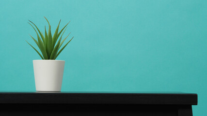Artificial cactus plants or plastic or fake tree on desk with green and blue or Tiffany Blue...