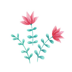 Flower watercolor 10