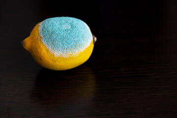 One whole yellow bright moldy lemon with a large light turquoise textured mold on a dark wooden table. Spoiled Fruit Concept. Close-up. Place for text