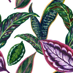 Watercolor gouache illustration Botanical leaves collection Tropical leaves houseplant hand painted seamless pattern