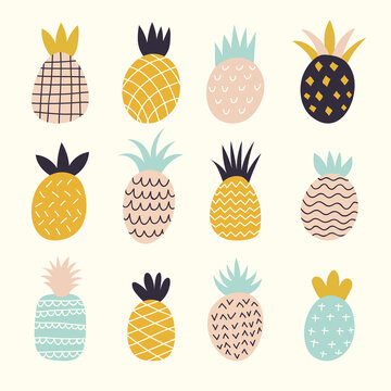 Doodle pineapples. Colored decorative abstract illustration of exotic fruits recent vector drawn pineapples collection