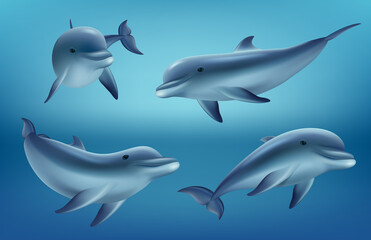 Dolphins realistic. Ocean or marine animals swim fishes with flippers deep blue sea underwater fauna decent vector realistic dolphins collection