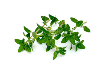 fresh thyme or Lemon thyme leaf isolated on a white background ,Green leaves pattern