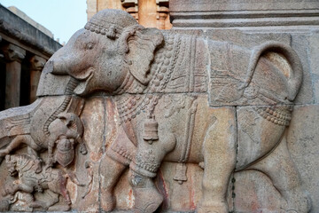 Elephant sculpture carved in the stone walls of ancient Brihadeeswarar temple in Thanjavur,...