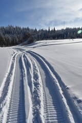 Obraz premium Snowmobile tracks near a frosty forest