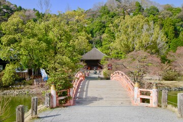 春の白水阿弥陀堂（福島県・いわき市）