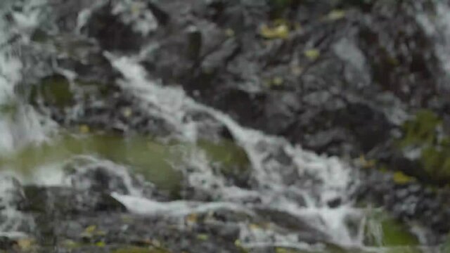 Cachoeira dentro da Mata Atl&acirc;ntica com troca de foco / Waterfall within the Atlantic Forest	with focus change