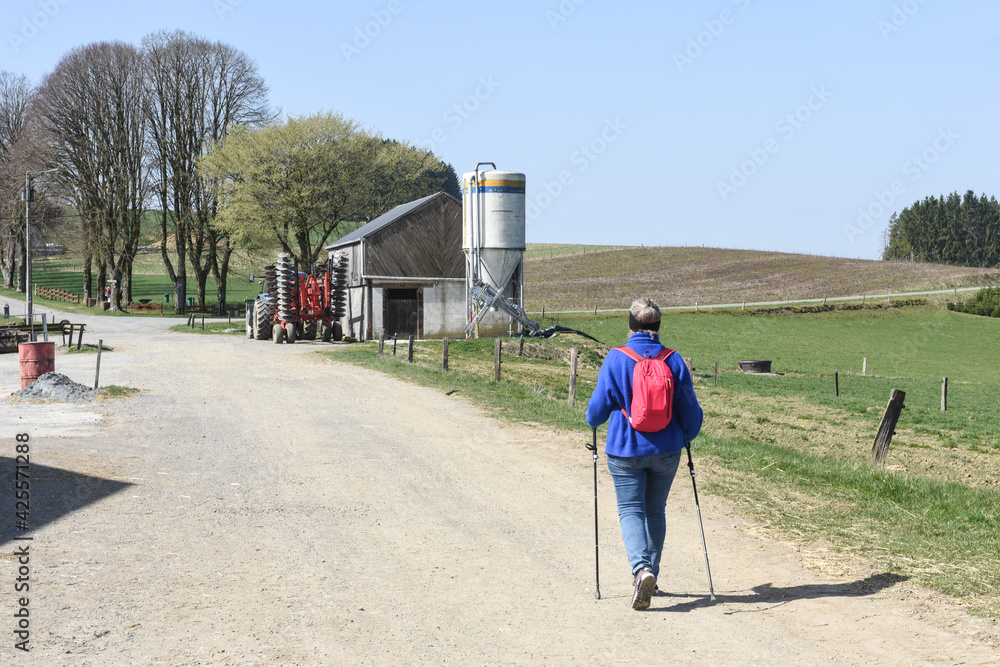 Canvas Prints Belgique Wallonie Ardenne ballade promenade loisir paysage Bouillon Corbion bois