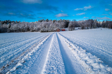 Fototapeta na wymiar Winter road in Swedish landscape
