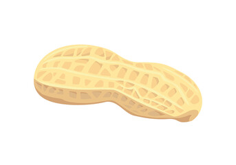 Peanut in shell vector illustration. Groundnut isolated on white background. Cartoon flat style.
