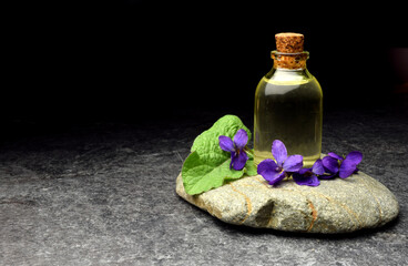 Obraz na płótnie Canvas viola odorata natural aroma oil