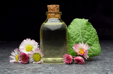 fresh daisy bio organic aroma oil