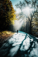 Obraz premium A active sporty girl hiking in the harz mountains with fresh spring leaves and warm light. Stone stairs leadign up a mountain. Harz Mountains in Germany