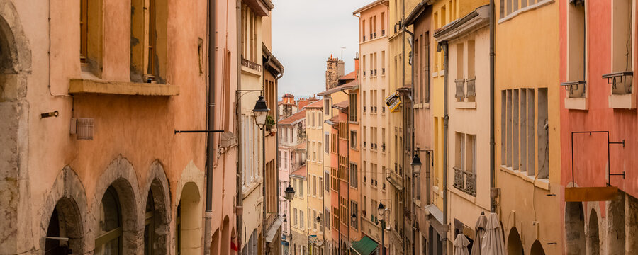 a cute puppy running