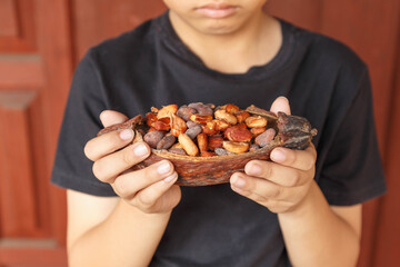 Dry cocoa beans on hand