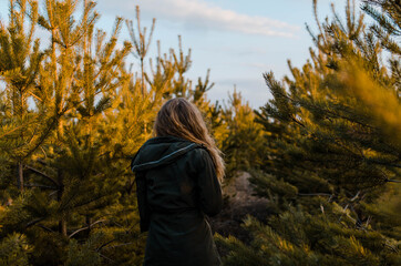 Осенний лес