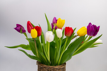 Colorful tulips with light background, spring concept