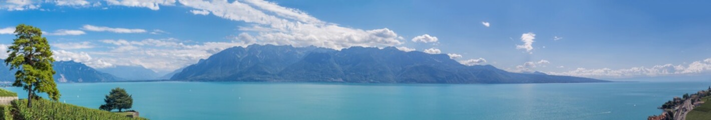 Lavaux, vignoble en terrasses - suisse