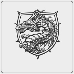 Dragon emblem for sport club. Vector illustration. Print design for t-shirt.