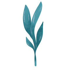 Raster leaf. Floral illustration on white background. Botanical image can be used for wedding invitation, design template, greeting card, patterns fill.