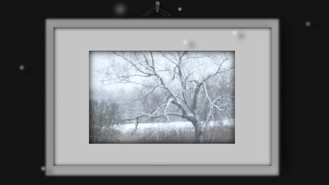 Motion picture in frame, landscape with tree in terrible blizzard
