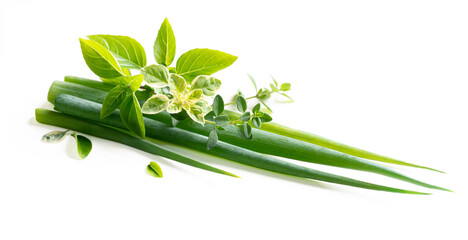 Obraz premium Bunch of fresh spices and herbs isolated on white background. Green onion, basil, oregano, thyme, lemon thyme.