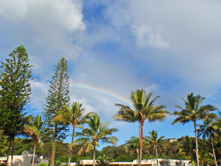 Fototapeta na wymiar Rainbow over palm trees on Moreton Island, Brisbane, Queensland, Australia