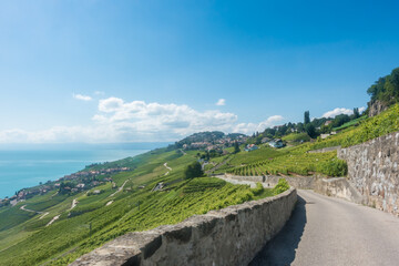 Lavaux, vignoble en terrasses - suisse