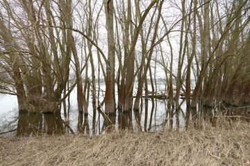 Fluss Elbe bei Gorleben 5