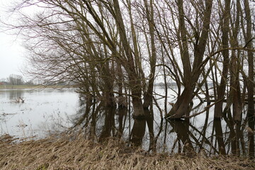 Fluss Elbe bei Gorleben 6