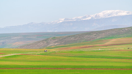 Fototapety na wymiar - Fototapeta24.pl