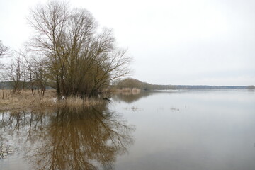 Fluss Elbe bei Gorleben 8