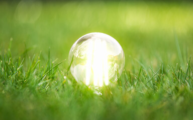 energy efficient led filament Lightbulb Glowing in Grass. planet's climat change and Green Energy...