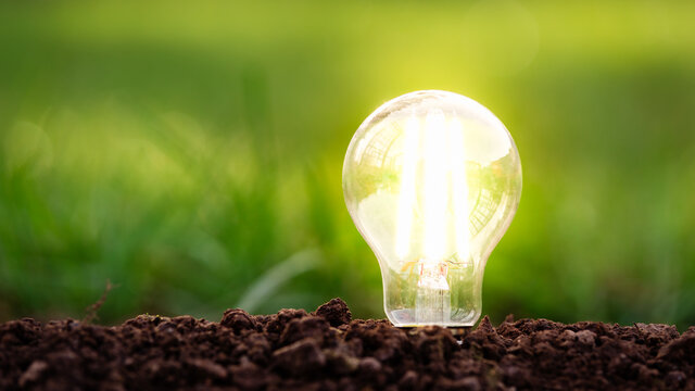 Energy Efficient Led Filament Lightbulb Glowing In Ground With Grass On The Background. Planet's Climat Change And Green Energy Concept