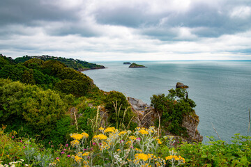 View looking North from Daddyhole, Torquay, South Devon, England, UK