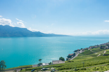 Lavaux, vignoble en terrasses - suisse