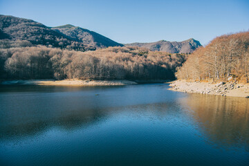 view of part of the santa fe swamp in winter located in the montseny mountains, catalonia